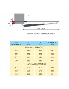 zestaw CAME ATS 24 V do bramy skrzydłowej 6m 2
